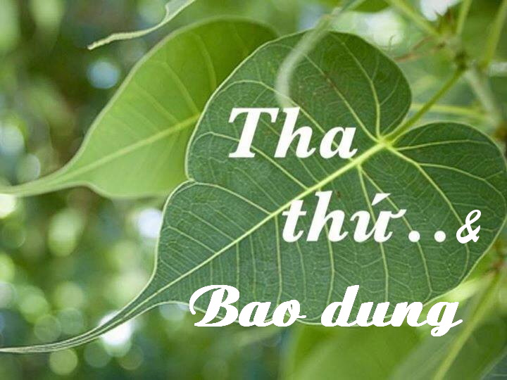 stt cuộc sống ngắn