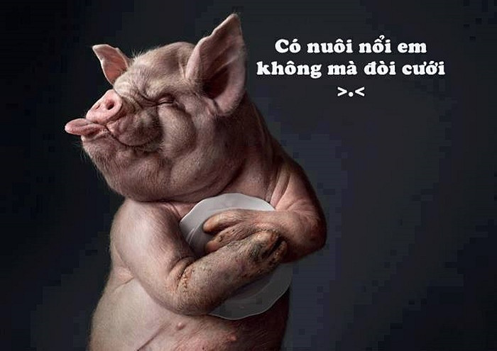 stt cuộc sống ngắn