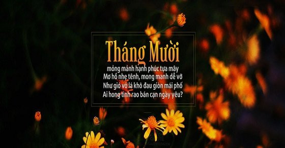 stt về tình yêu