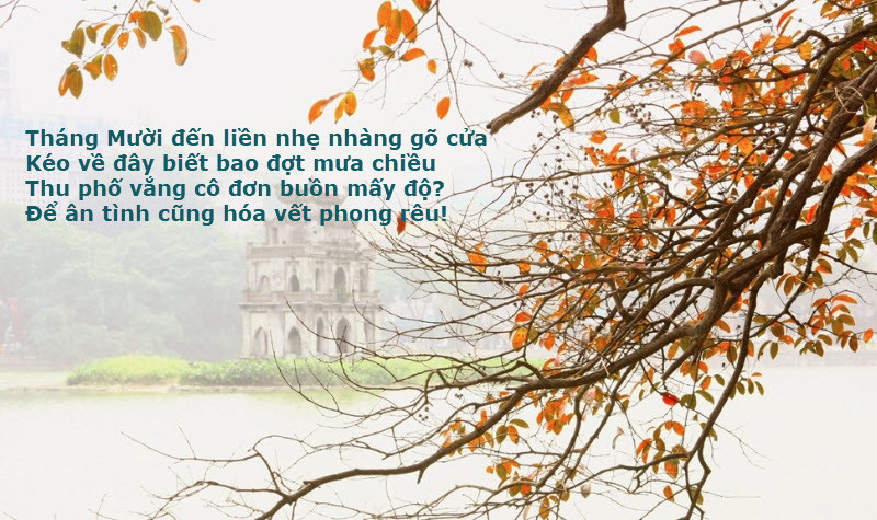 stt về tình yêu