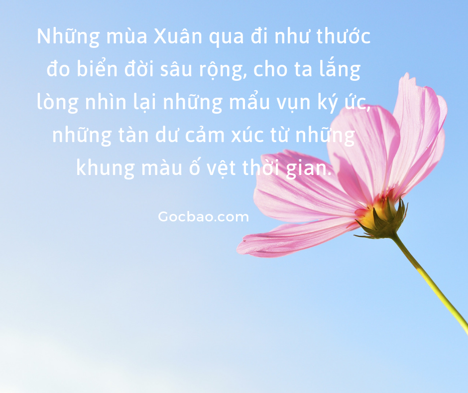 Stt Hay Về Mùa Xuân
