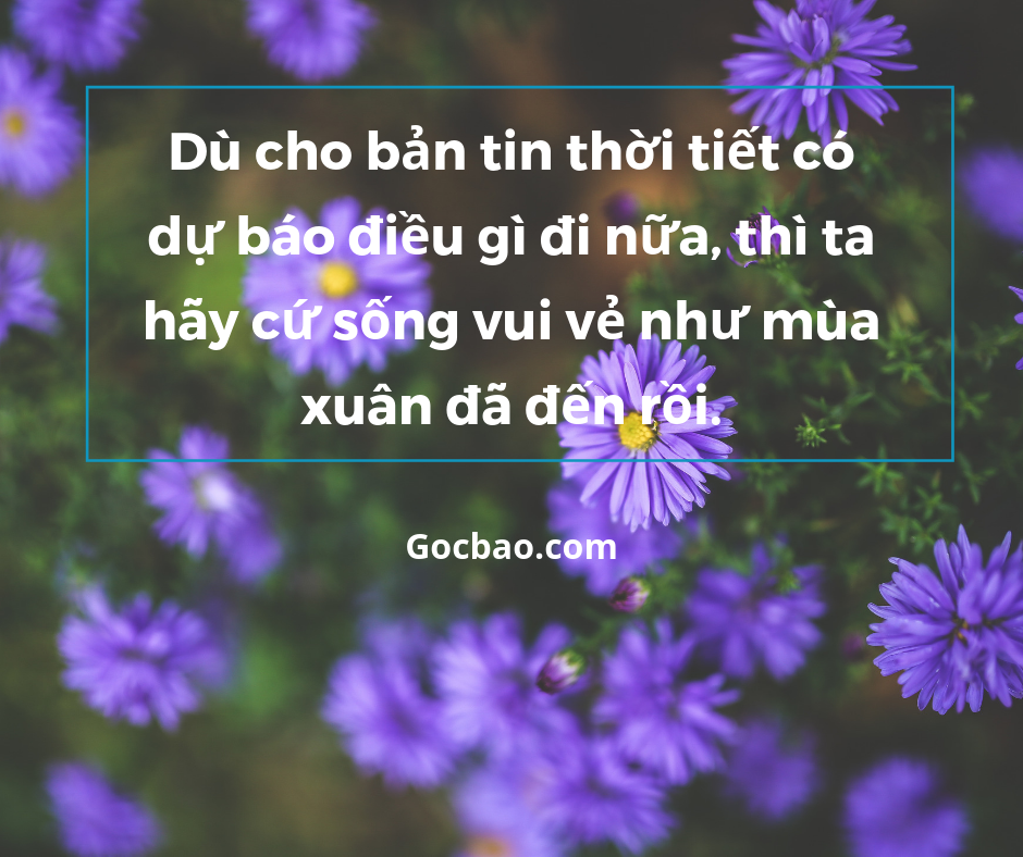 Stt Hay Về Mùa Xuân