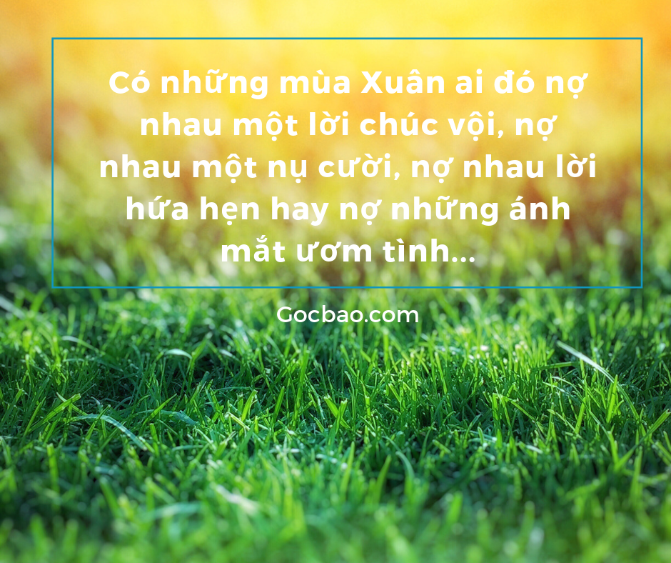 Stt Hay Về Mùa Xuân