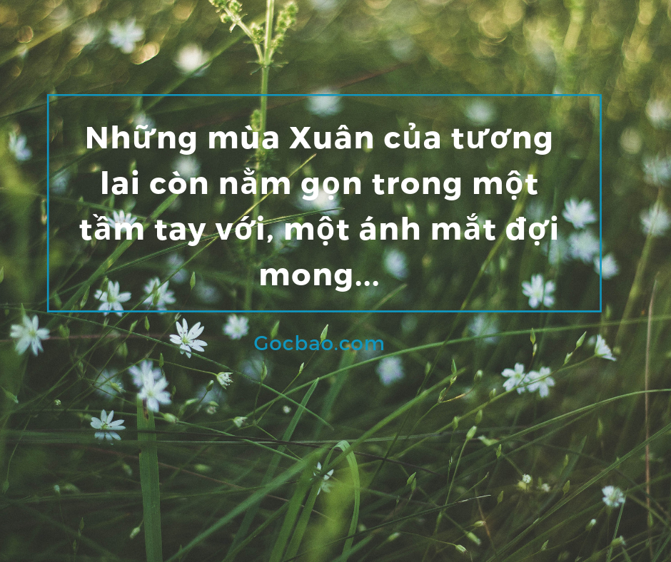 Stt Hay Về Mùa Xuân