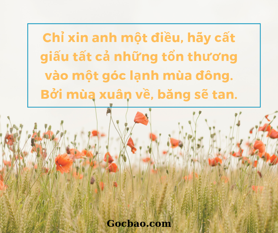 Stt Hay Về Mùa Xuân