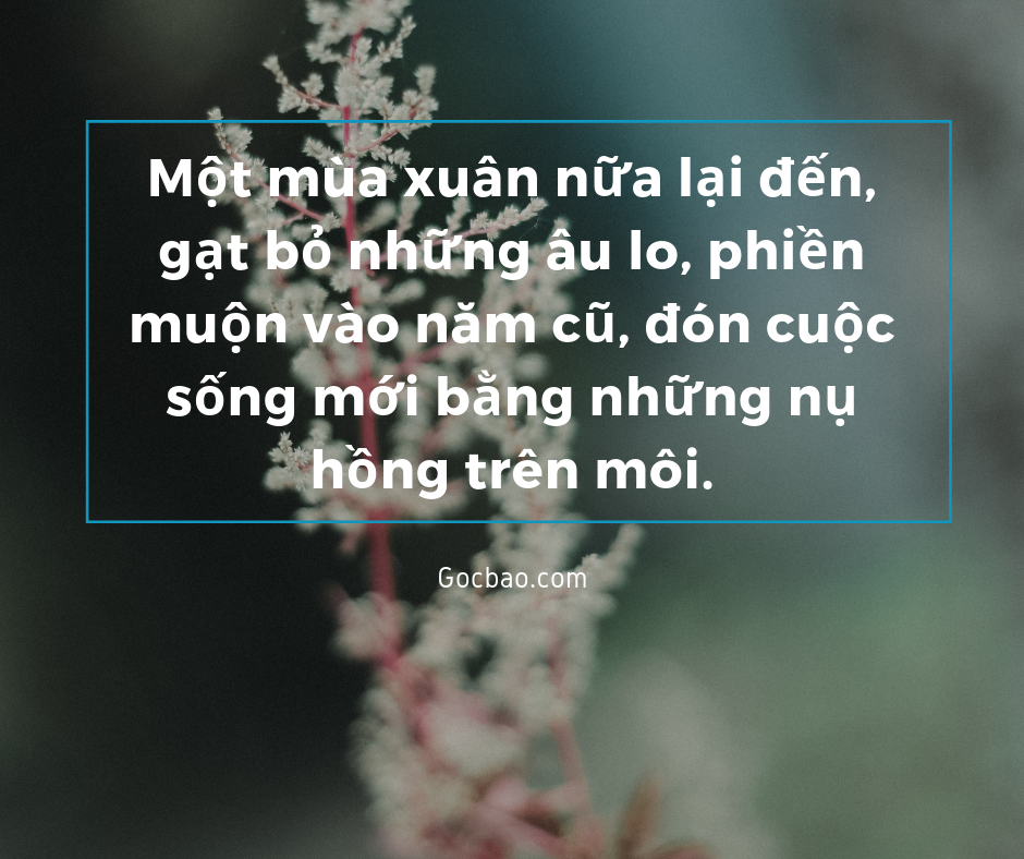 Stt Hay Về Mùa Xuân