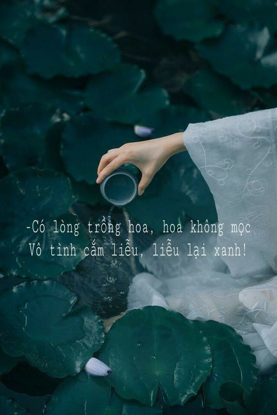 stt tâm trạng buồn