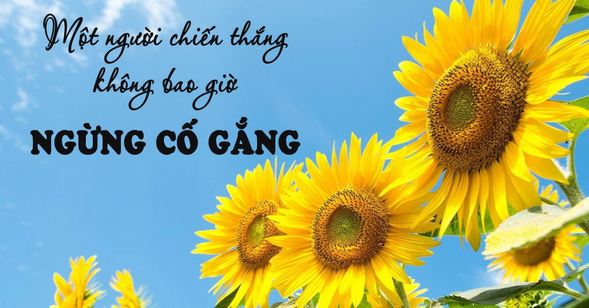 nhung cau noi hay ve co gang vuon len2