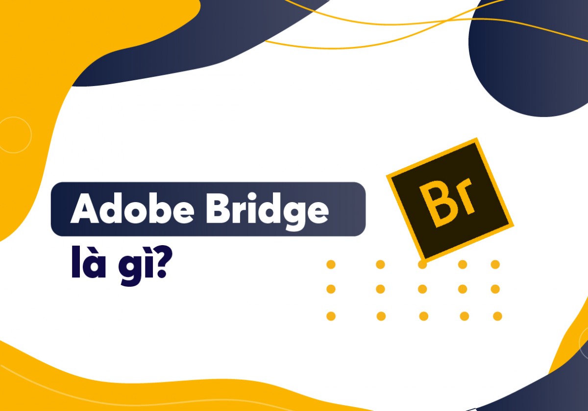 image - Adobe Bridge là gì? Một số tính năng cơ bản của Adobe Bridge