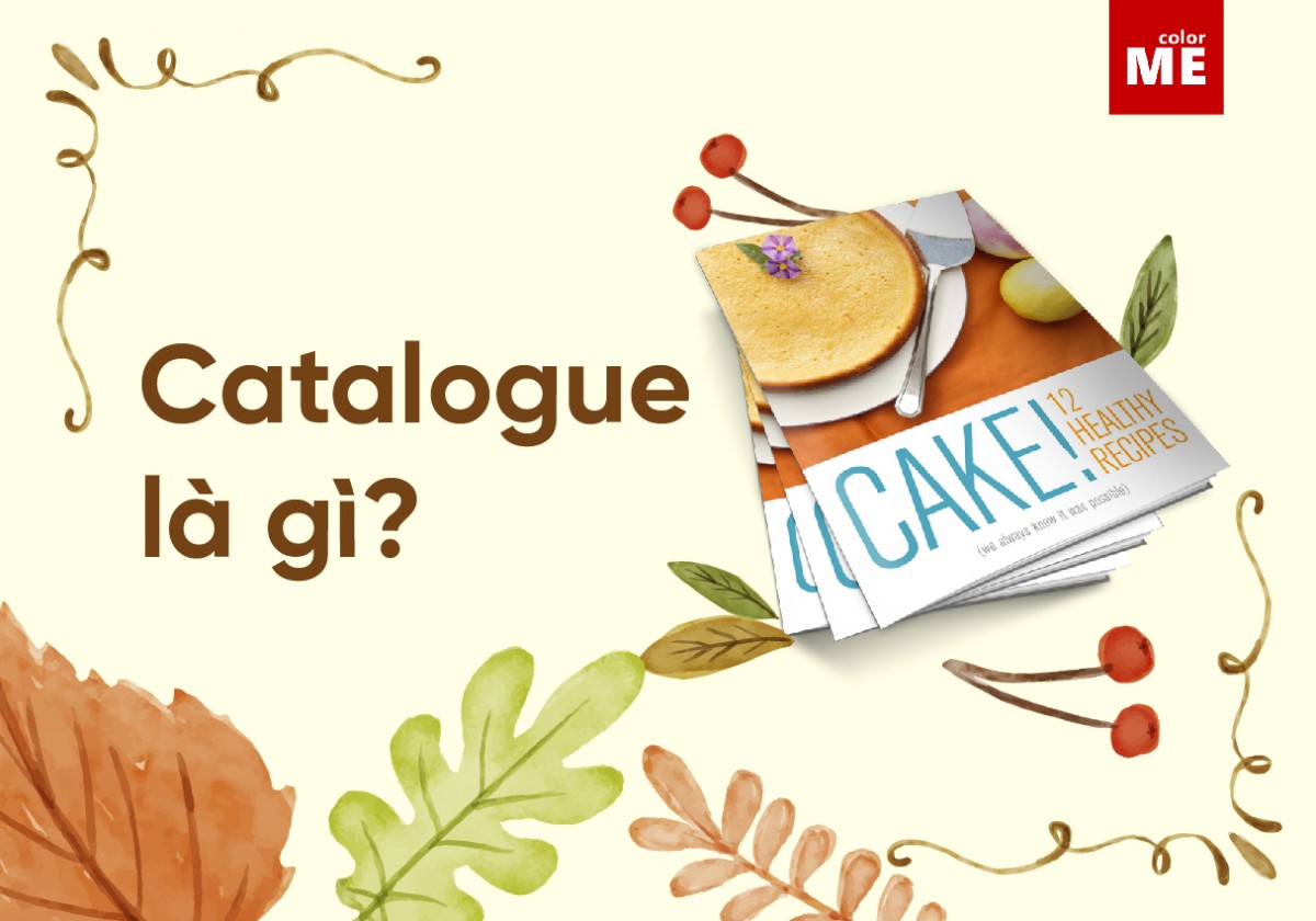 image - Catalogue là gì? Những đặc trưng cơ bản về Catalogue