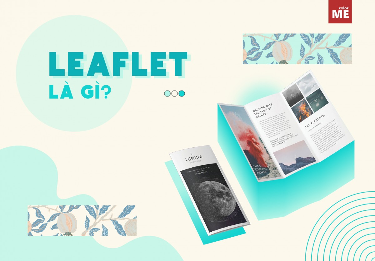 image - Leaflet là gì? 2 bước đơn giản thiết kế leaflet nhanh chóng