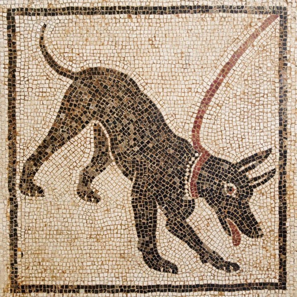 Tấm mosaic tại Pompeii có tên ‘Cave Canem’ (Beware the dog)  thế kỷ thứ I sau CN