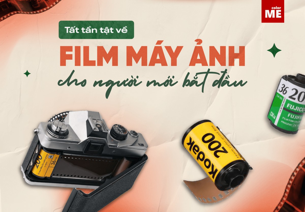 image - Tất tần tật về Film máy ảnh cho người mới bắt đầu