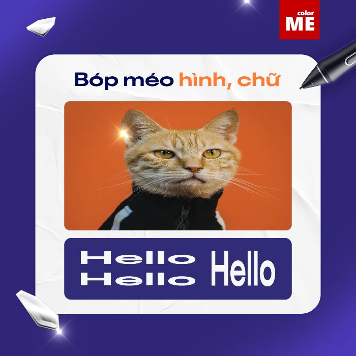 Top 5 sai lầm trong thiết kế mà “newbie