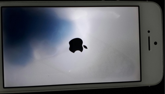 Màn hình iPhone 7 Plus bị chảy mực