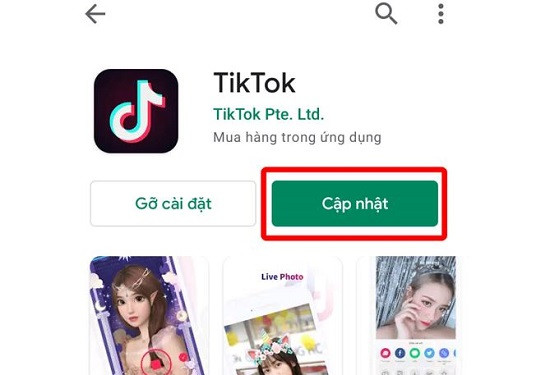 Cập nhật ứng dụng tiktok