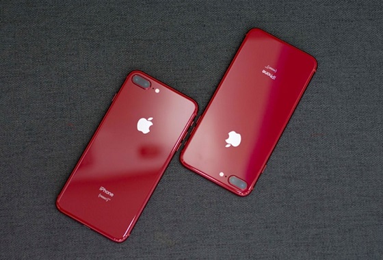 iPhone 8 Plus mất camera sau, làm gì để khắc phục