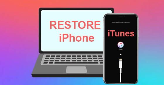 Thử Restore lại qua iTunes