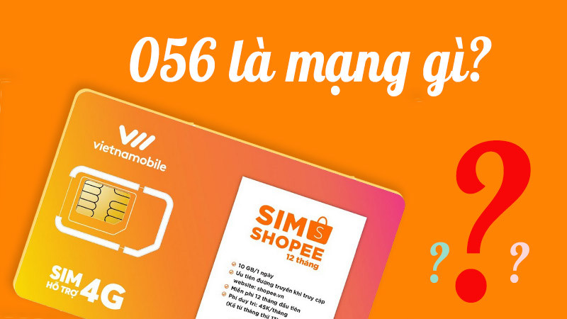 056 là mạng gì