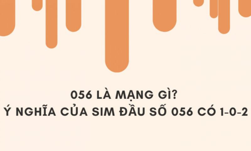 056 là mạng gì