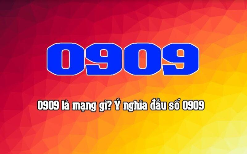 0909 là mạng gì?