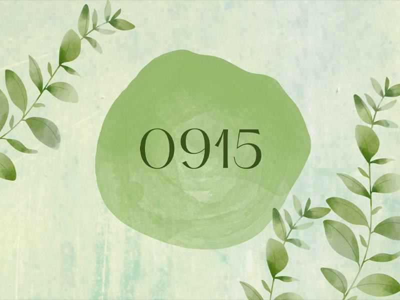 0915 là mạng gì