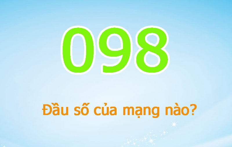 098 là mạng gì