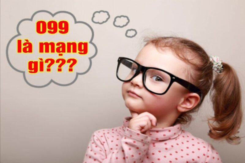 099 là mạng gì?