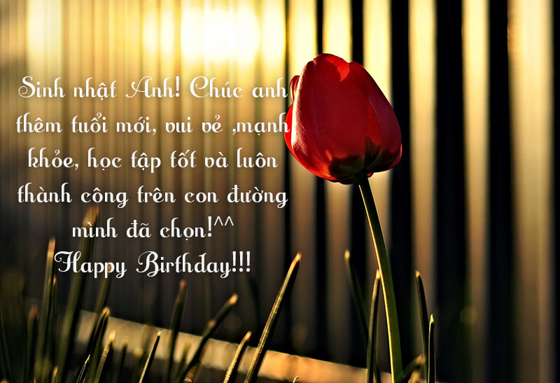 10 lời chúc kèm hình ảnh chúc mừng sinh nhật anh trai cực chất và ý nghĩa
