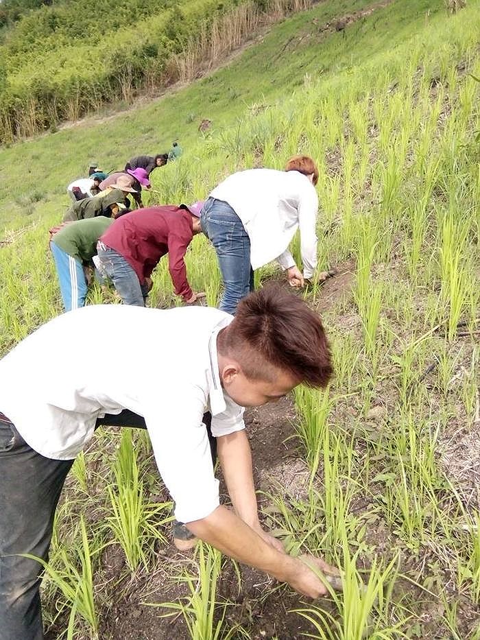 Bé lê văn đạt là ai