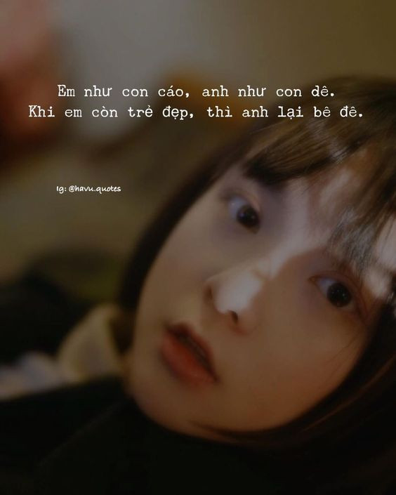 "Bão" like những câu nói hài hước trên Facebook  