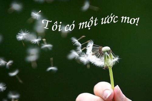 những câu nói hay về cuộc sống tươi đẹp