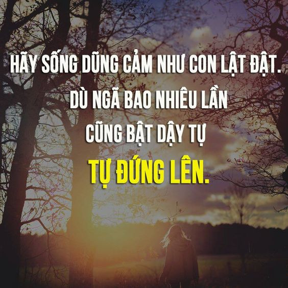 câu nói hay về tình yêu