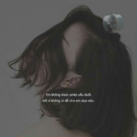 câu nói hay về tình yêu
