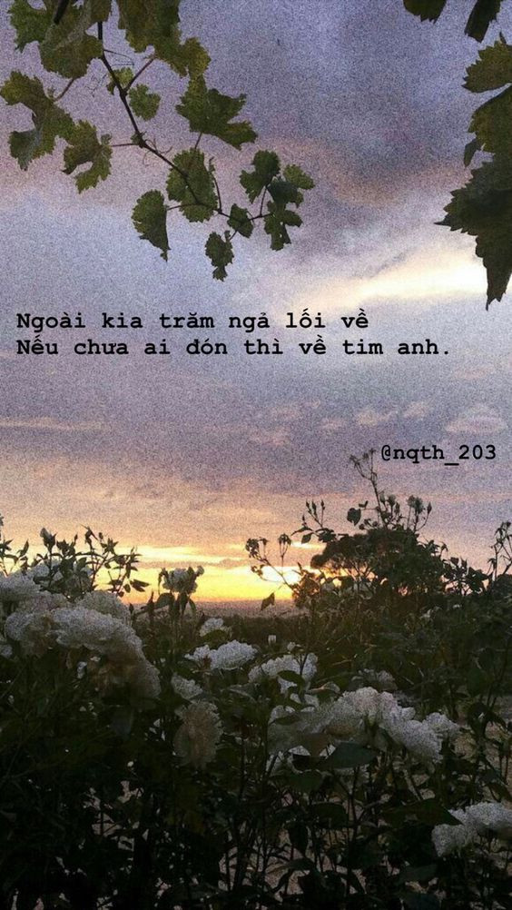 Stt ngắn về tình yêu