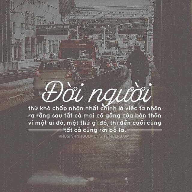 Stt thất vọng về 1 người