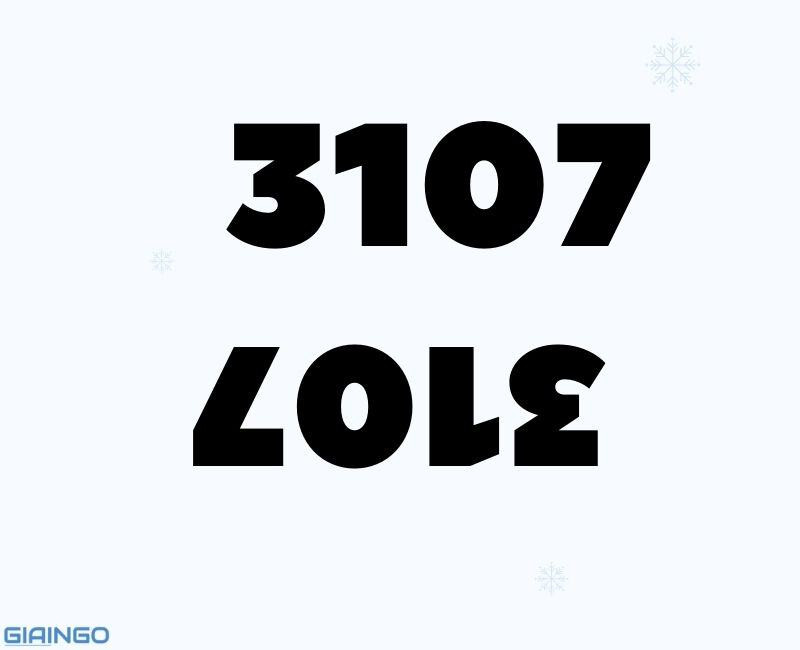 y nghia cua 3107