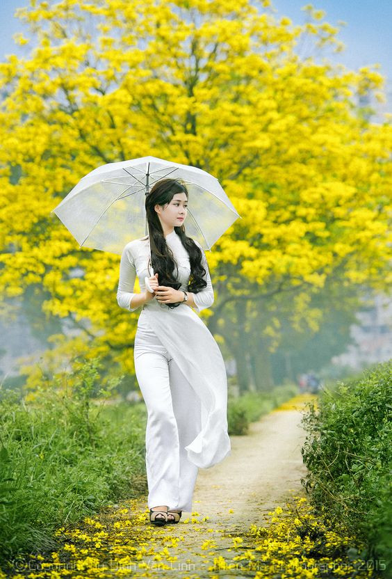 stt chất về con gái