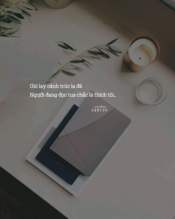 Stt ngắn vui vẻ