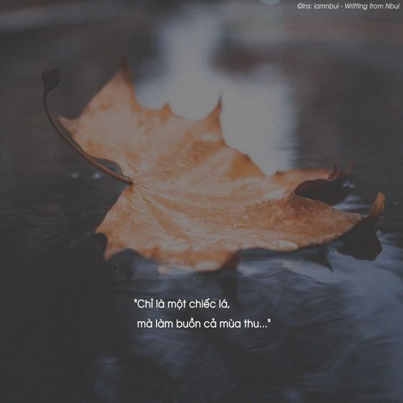 Stt ngắn vui vẻ