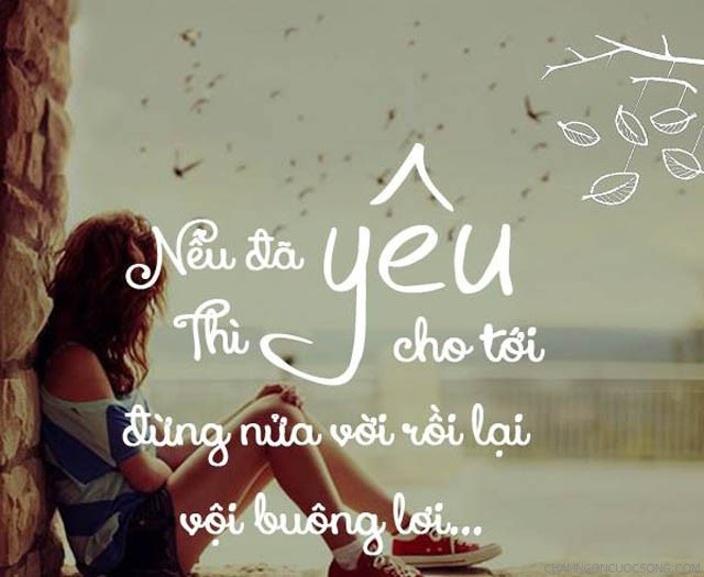 Những câu nói hay, status tâm trạng ý nghĩa bằng hình ảnh