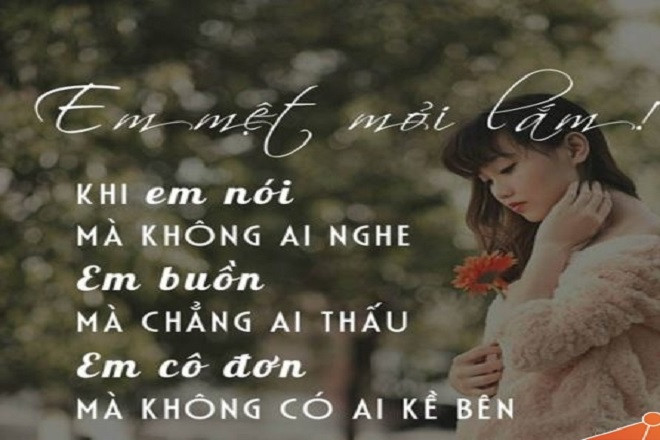stt hay về cuộc sống bon chen
