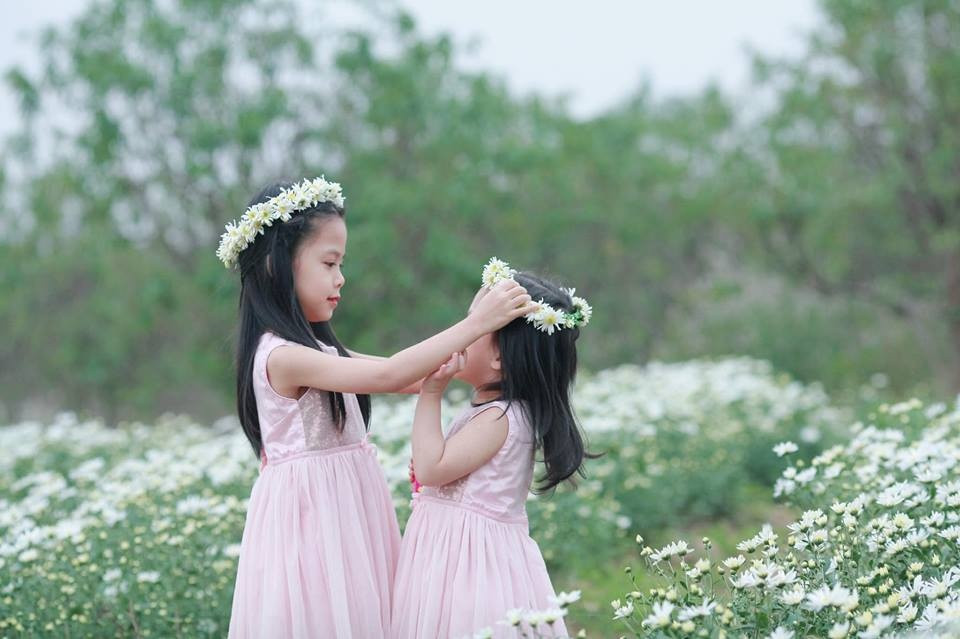 Stt anh em, chị em gia đình