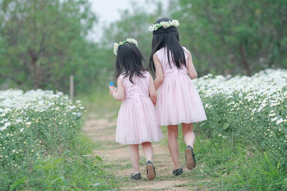 Stt anh em, chị em gia đình