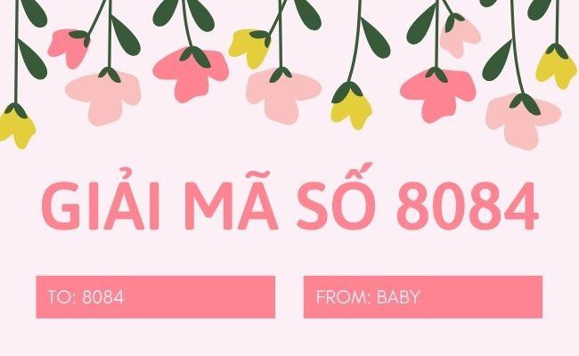 8084 là gì?