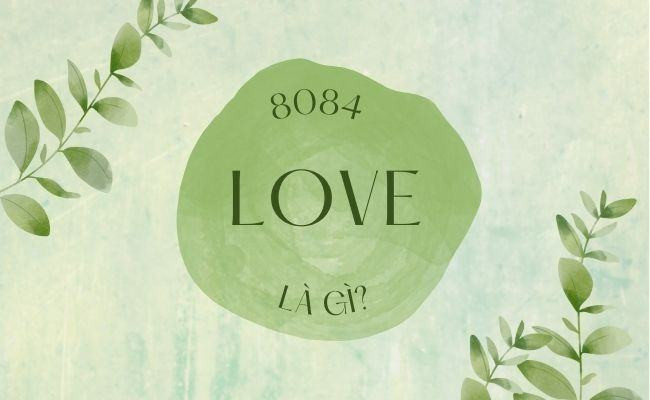 8084 là gì?