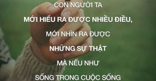 Stt ngắn về hạnh phúc