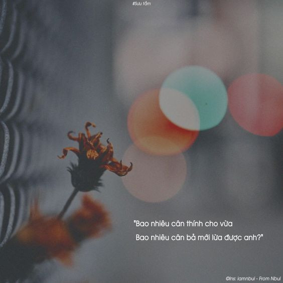 Stt ngắn vui vẻ