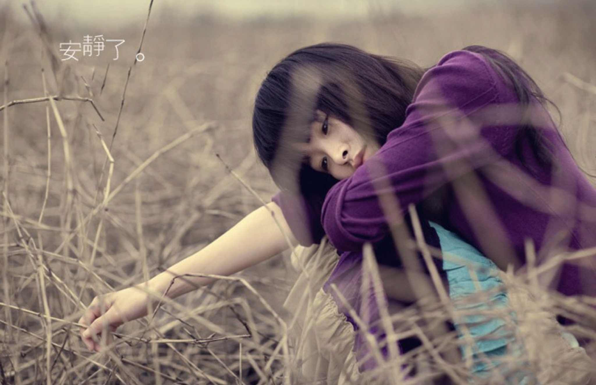 stt hay về cuộc sống bon chen
