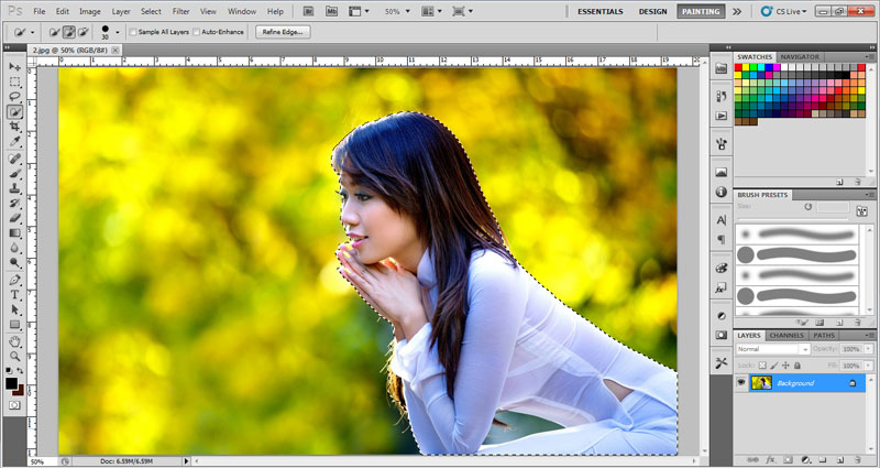 Cách sử dụng Quick Selection Tool trong photoshop